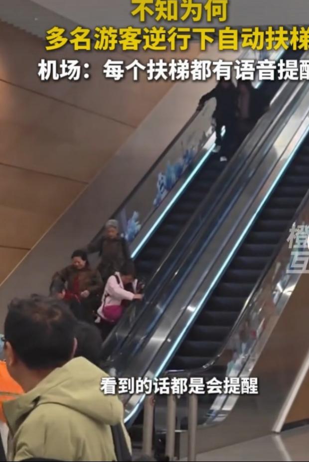 成都天府机场多名女子扶梯逆行这事，真让人捏把汗。视频里，她们无视“禁止逆行”标识