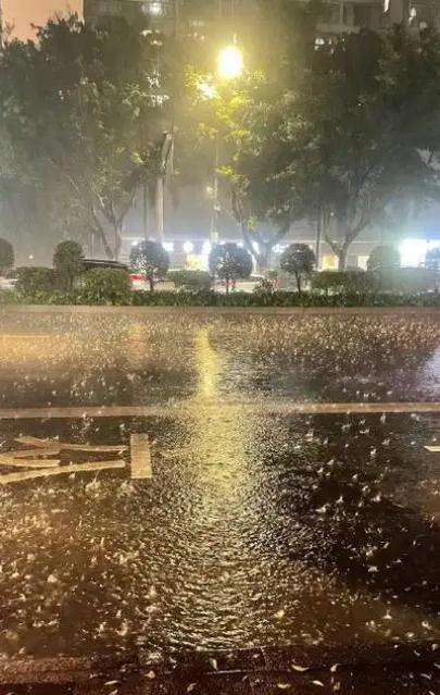 暴雨大暴雨来袭！五一出行务必当心五一假期刚开启，大范围强降雨就火速上线，未来