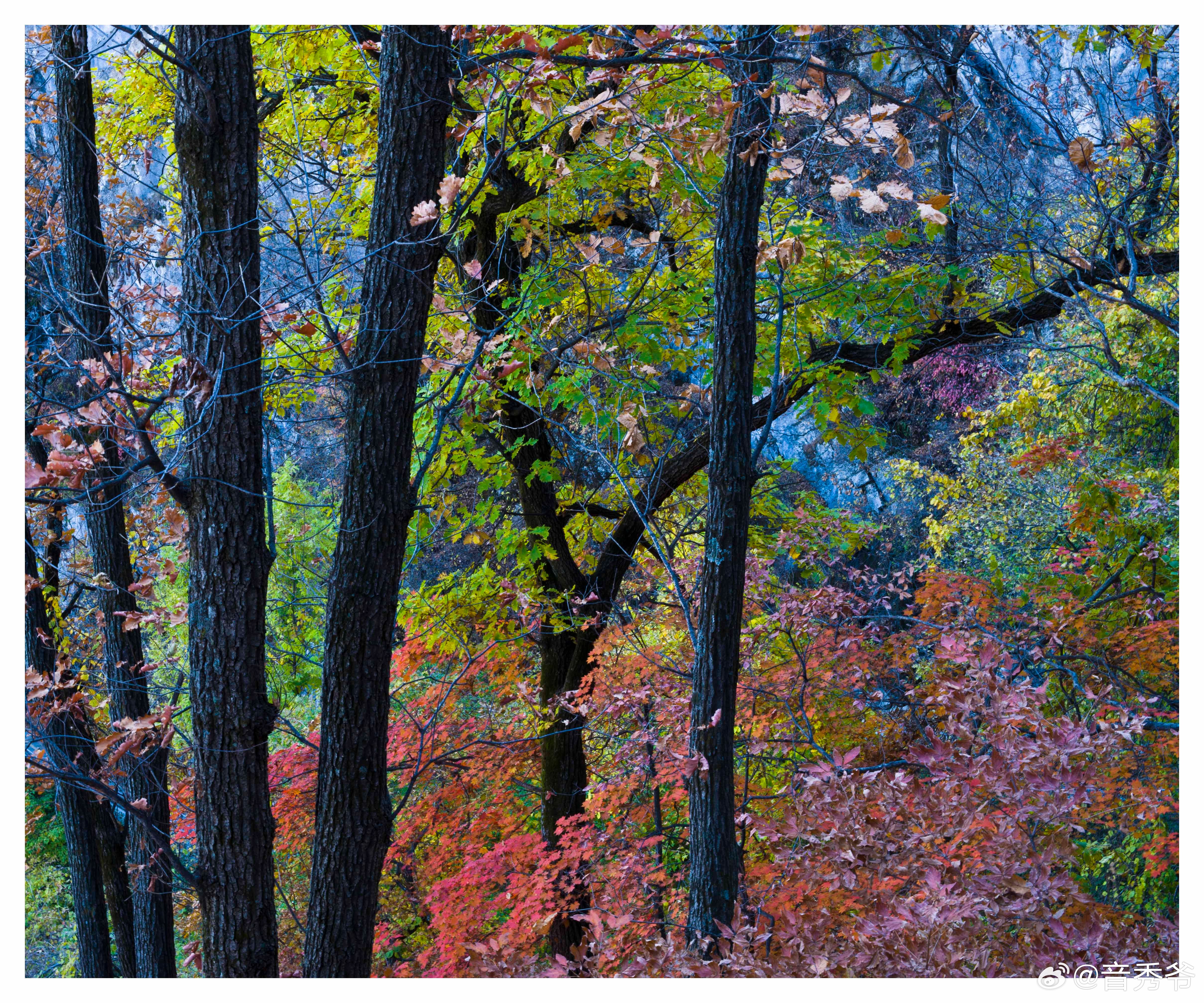 东北的秋天总是来得又早又浓烈！想抢先解锁金秋美景，辽宁铁刹山必须安排上～漫山色彩