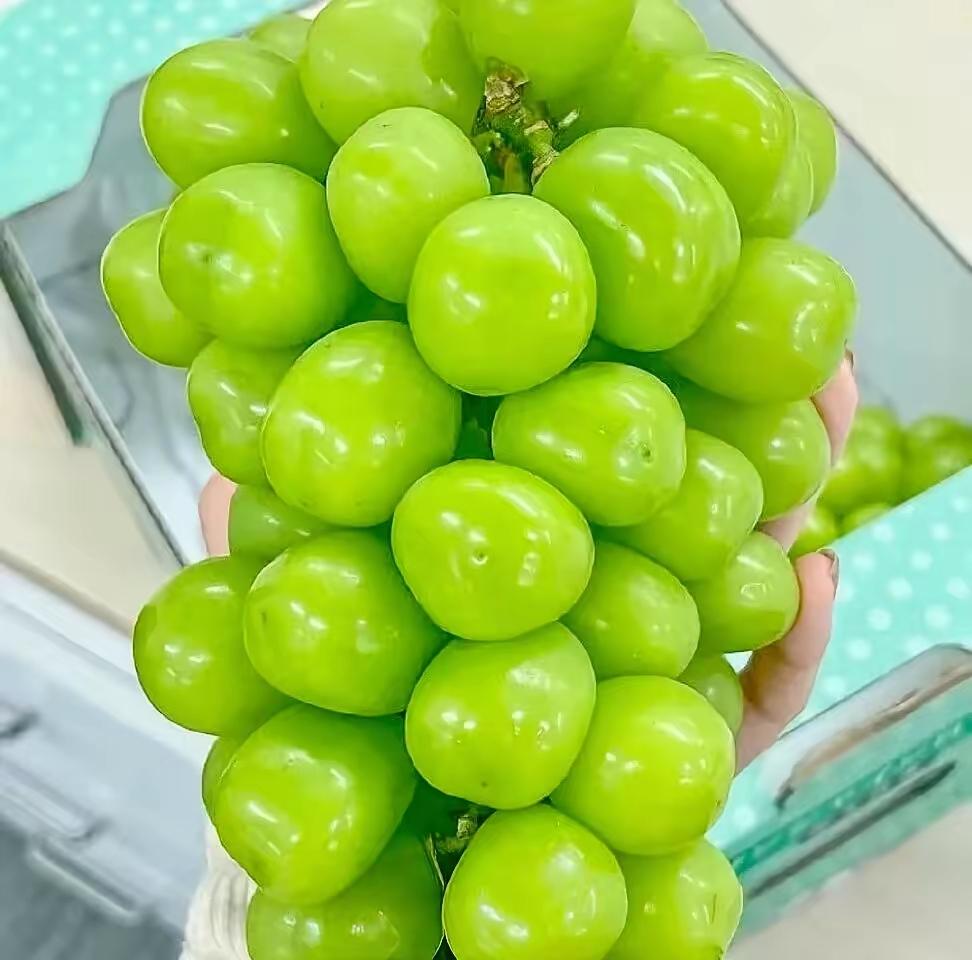 养生厉害的人都在悄悄做这三件事！看完我默默放下了保温杯里的枸杞茶...今天早