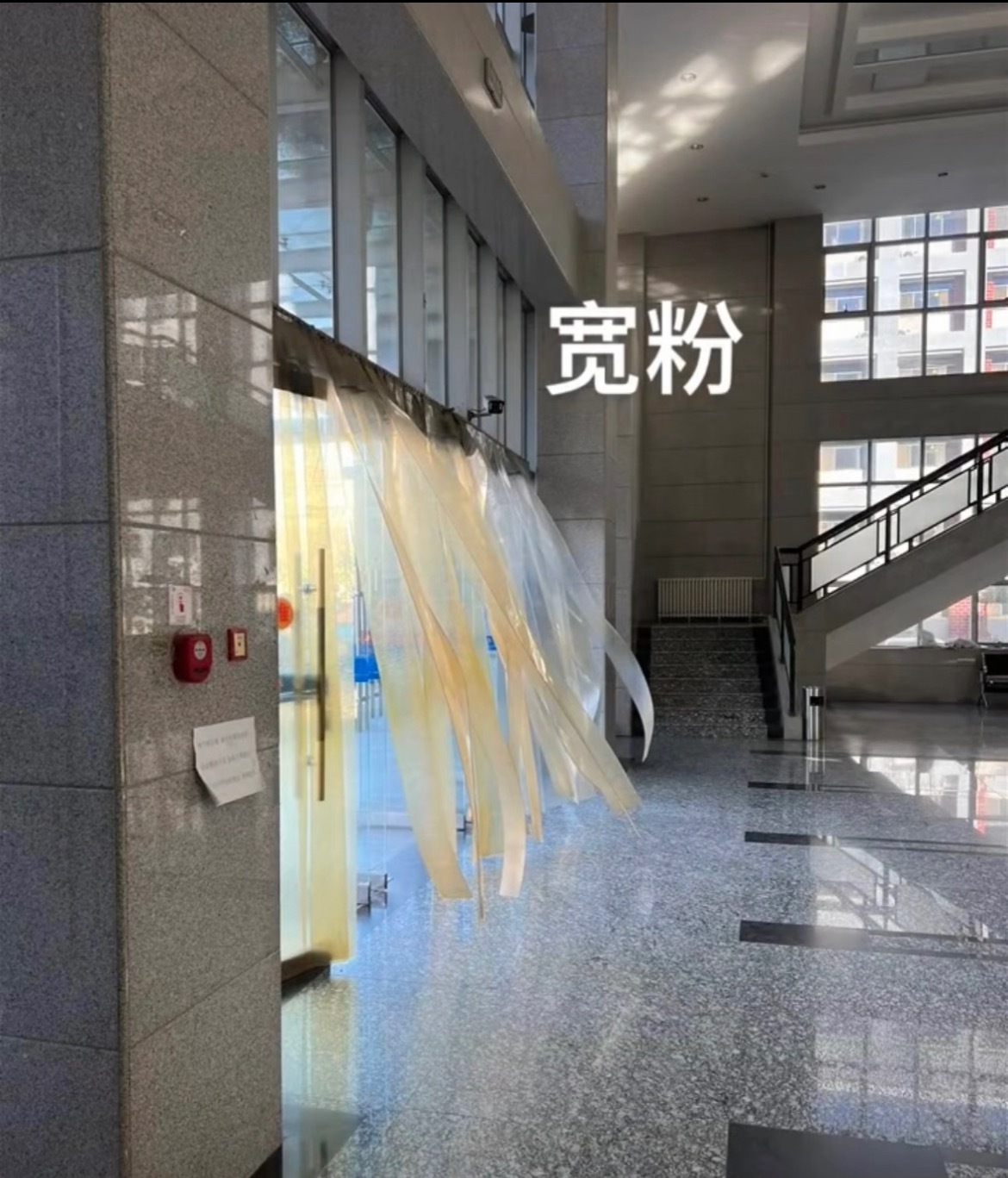 善于观察世界就会变得可可爱爱​​​