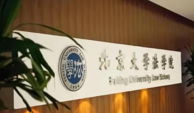 项立刚是在2025年12月连续发文，公开要求北大法学院等高校公布境外资金来源后，