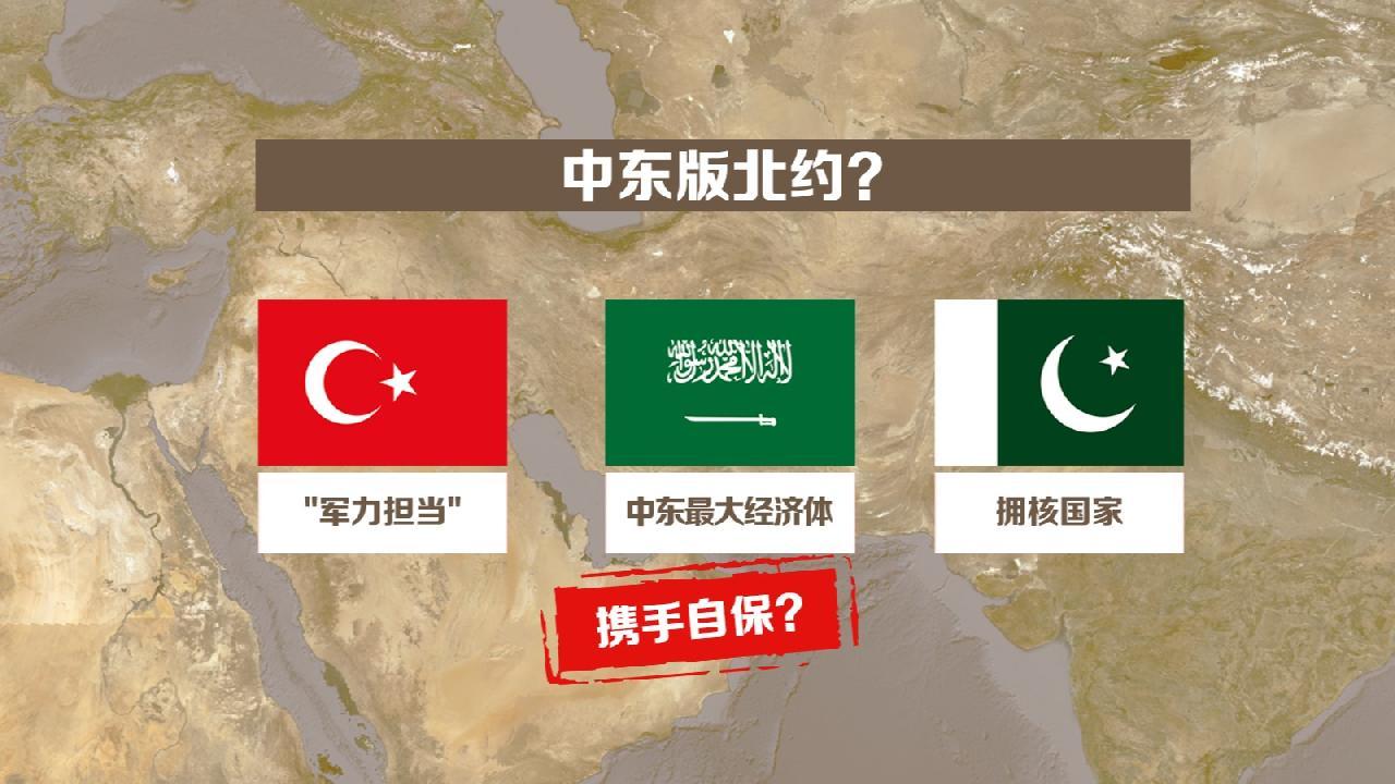 签字才6天，“中东版北约”就开始互掐了。8月7日，沙特王储小萨勒曼、土耳其总统