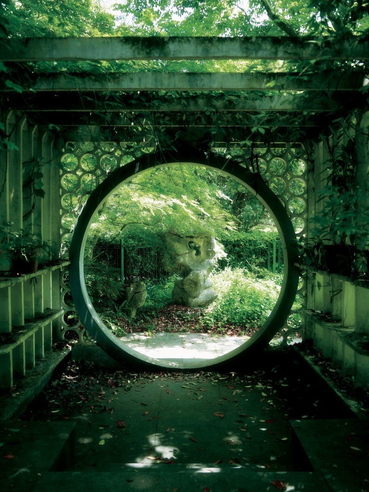 杭州初夏的治愈感，藏在植物园的“百草园”里。这里游人稀少，绿意盎然，是城市里难得