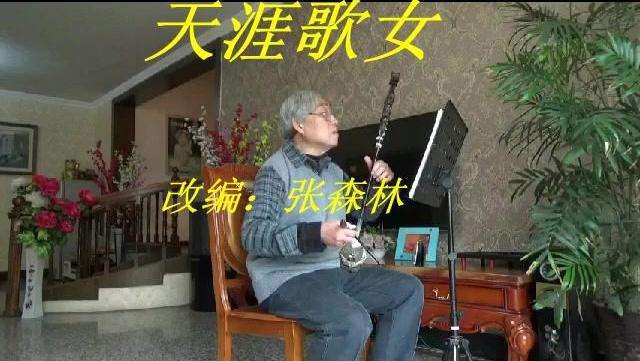 二胡曲谱天涯歌女_天涯歌女古筝曲谱(5)