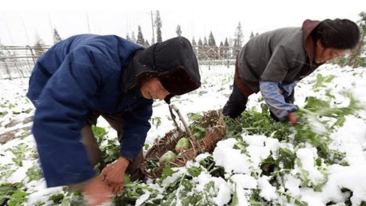 2025年第1场寒潮来到, 大雪暴雪范围确认, 过年会很冷?