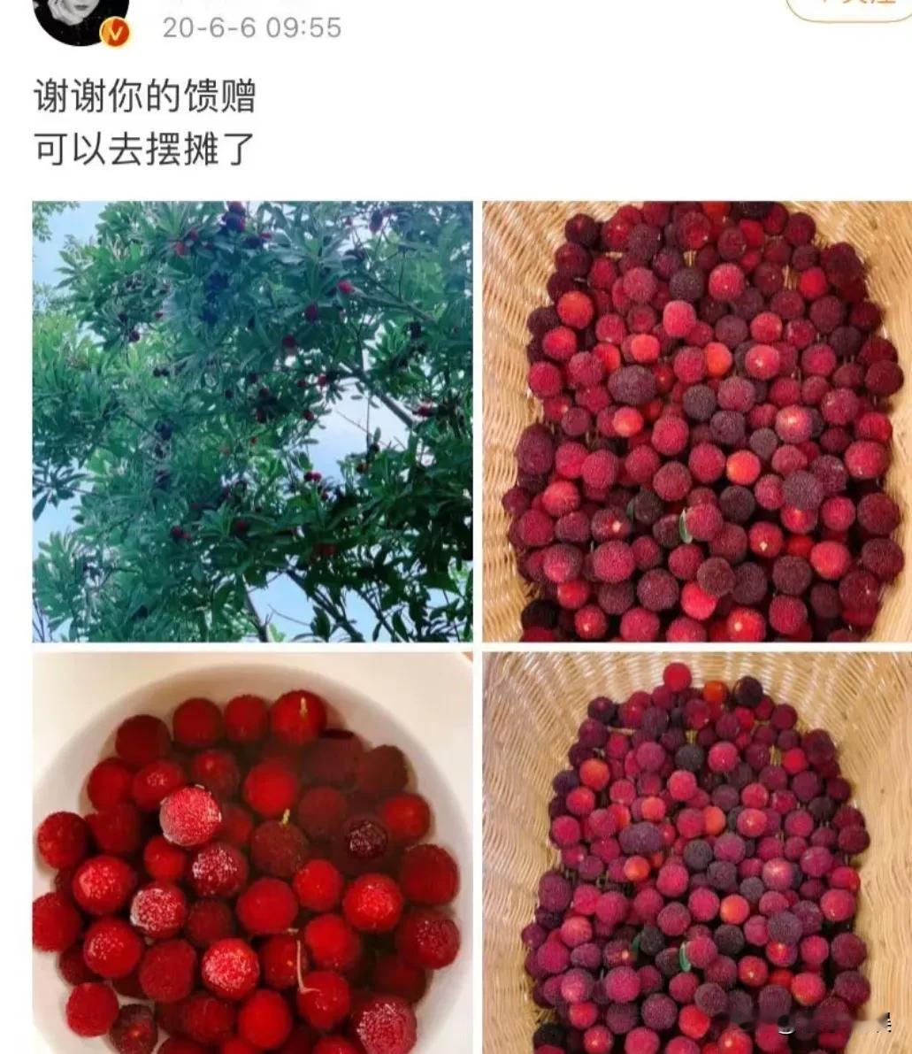 不得不说张馨予是懂生活的！不单单是人长得好看，自家小院子也是收拾的非常漂亮！不仅
