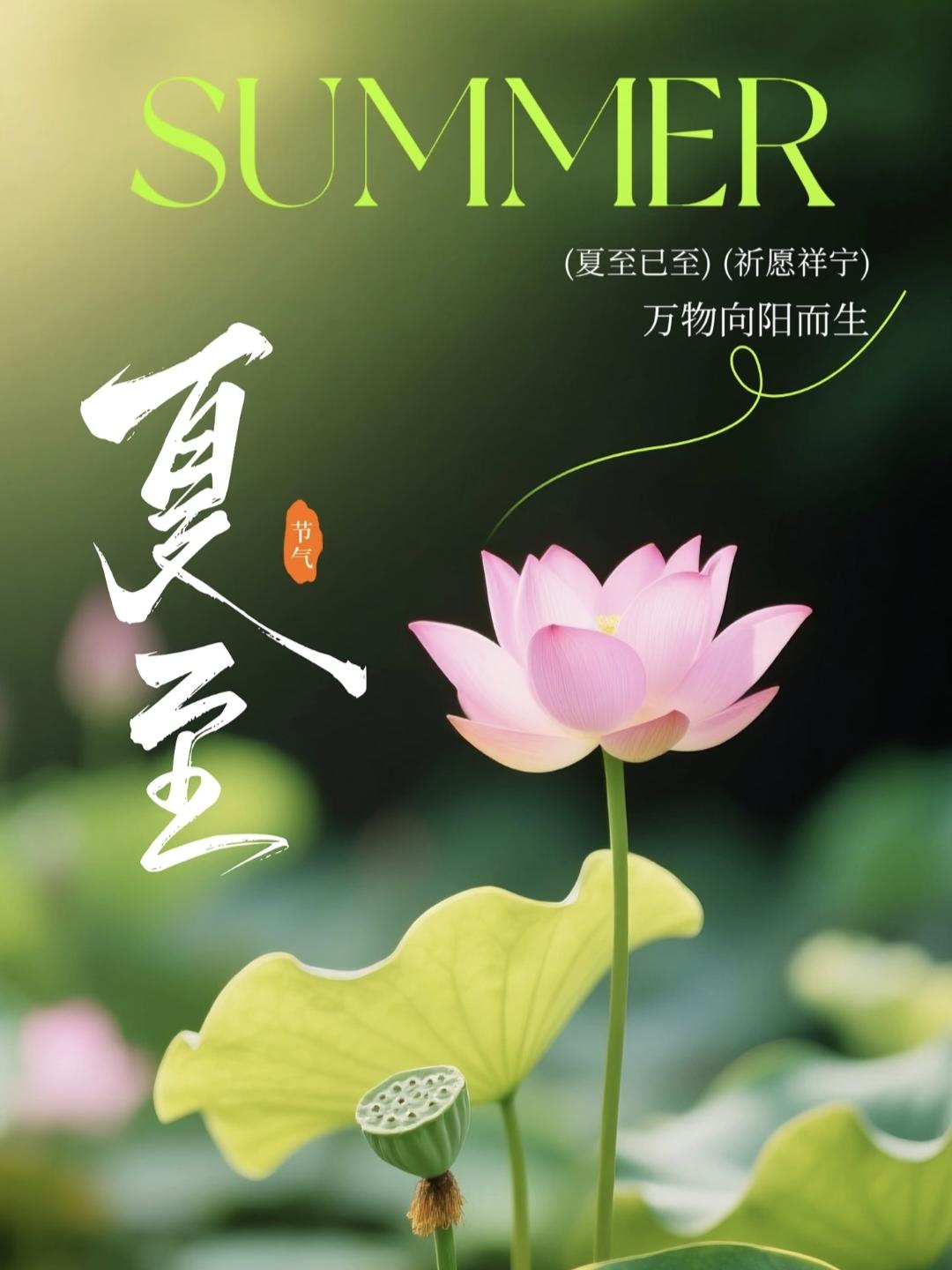夏至文案:蝉鸣始起，夏意渐浓。日子滚烫，岁月温柔，不负盛夏，不负时光。1.🌿