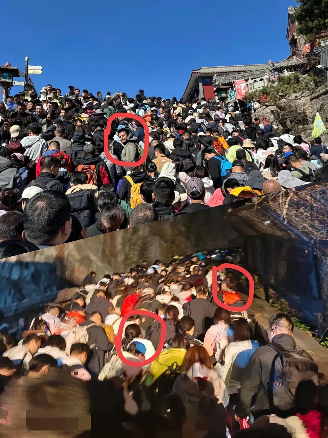 一觉醒来，旅游和不旅游的都沉默了！​没想到泰山顶上，有人裹着厚棉衣蜷在路边睡觉，