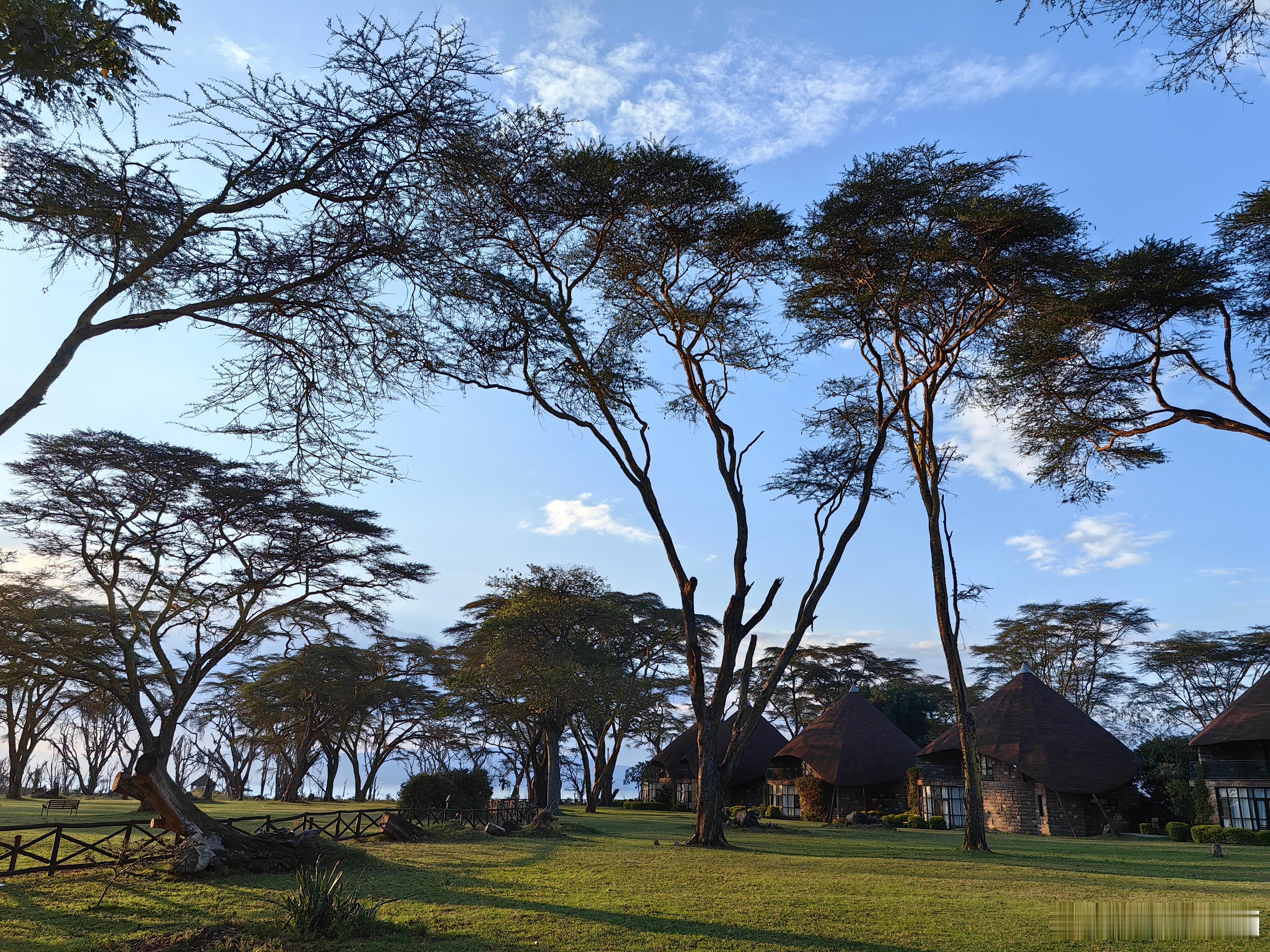 中美博弈转段了。如果说2018年到2024年算中美博弈的一个阶段的话，那么202