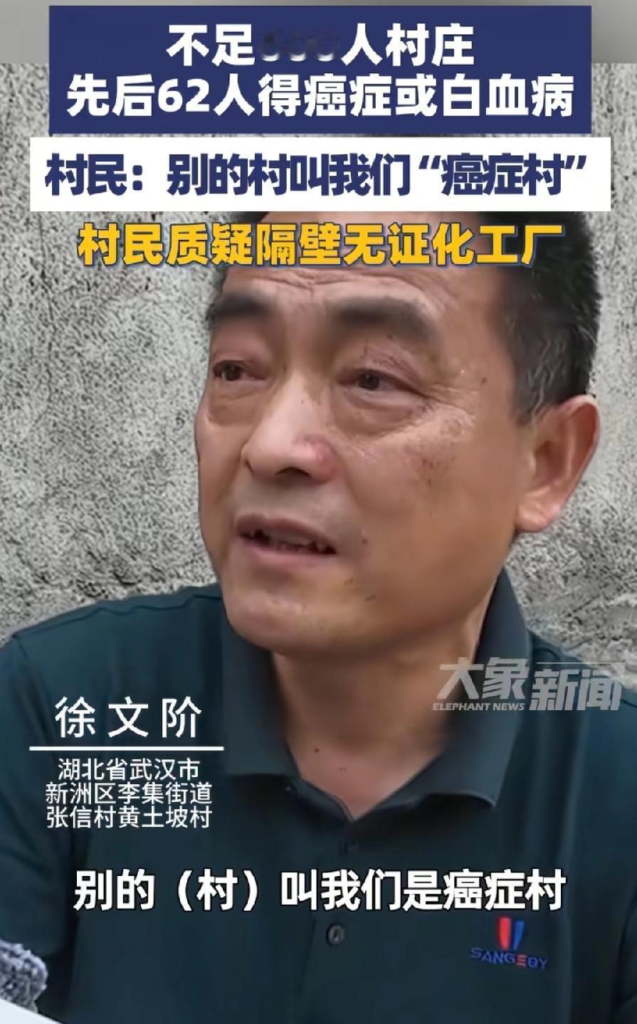 武汉585人村庄62人患癌。与化工厂有关？患癌比例高吗？看村委统计名单，从199