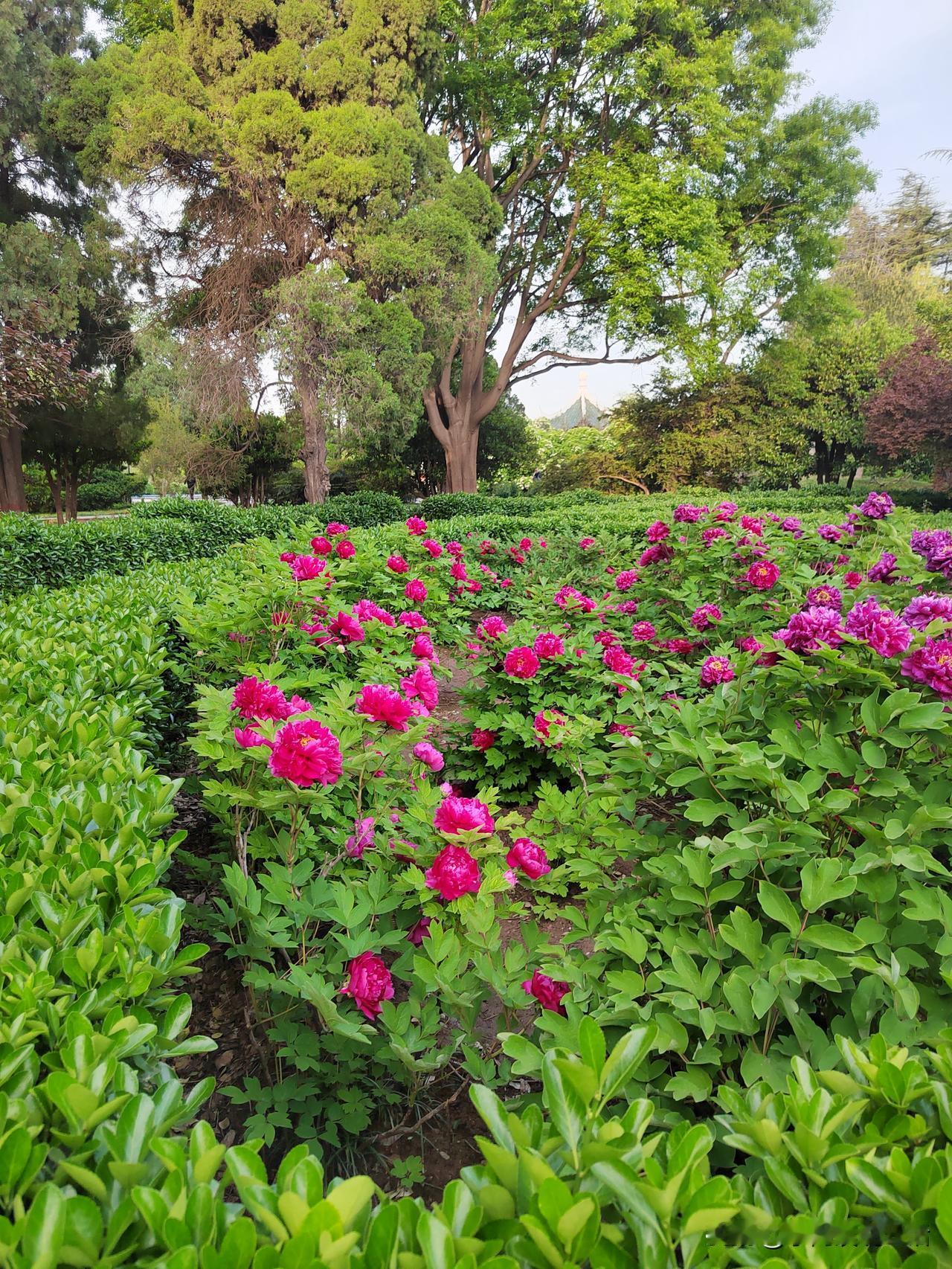 我对自己的退休金1万个不满意！我感觉太低了！我的退休金应该是全国倒数的水平！