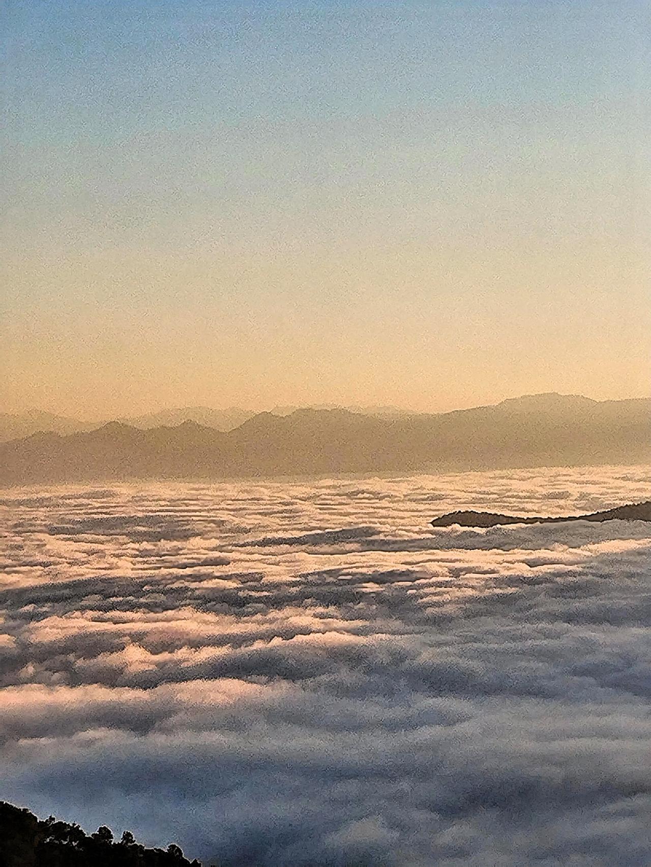 沿着蜿蜒的小径前行，脚下的落叶发出沙沙的声响，仿佛在诉说着冬日里独有的故事。偶尔