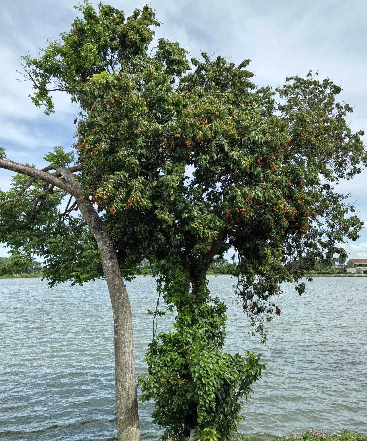 难道水务系统的油水这么多吗？这个县的水务局两名副局长同时被纪委查处！我们都知道