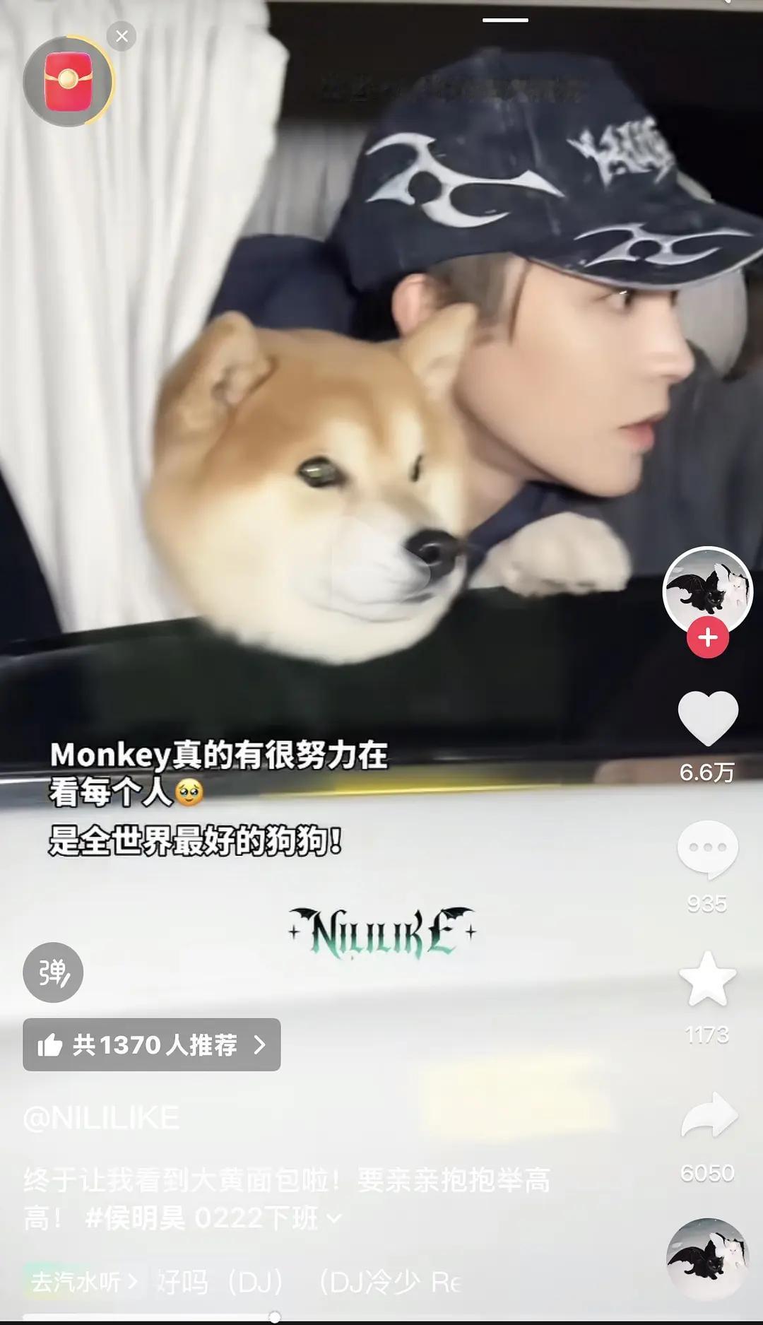 侯明昊的狗居然是爽和胡彦斌一起养的狗生的