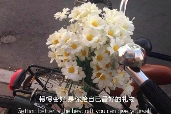 “属于你的永远都在不是你的别争别爱.”​​​