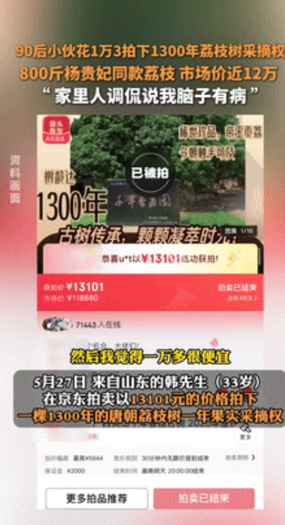 赚大发了！”小伙1.3万拍下1300年杨贵妃同款荔枝树采摘权，被嘲“脑子有病”！