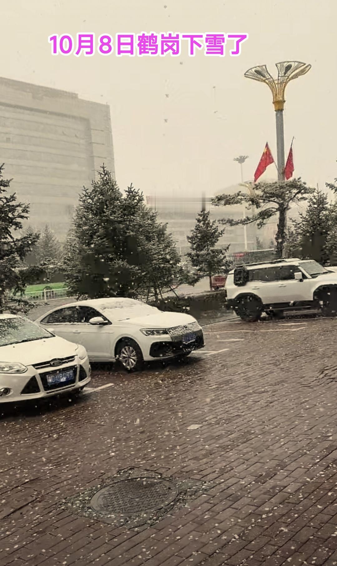 真没想到鹤岗2026年的第1场雪，确实比往年来得更早一些，特别是看到10月8日上