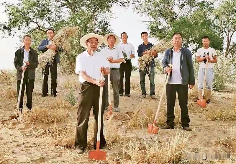 西方媒体感慨的背后，是中国人70年治沙的执着坚守西方媒体：中国不可怕，可怕