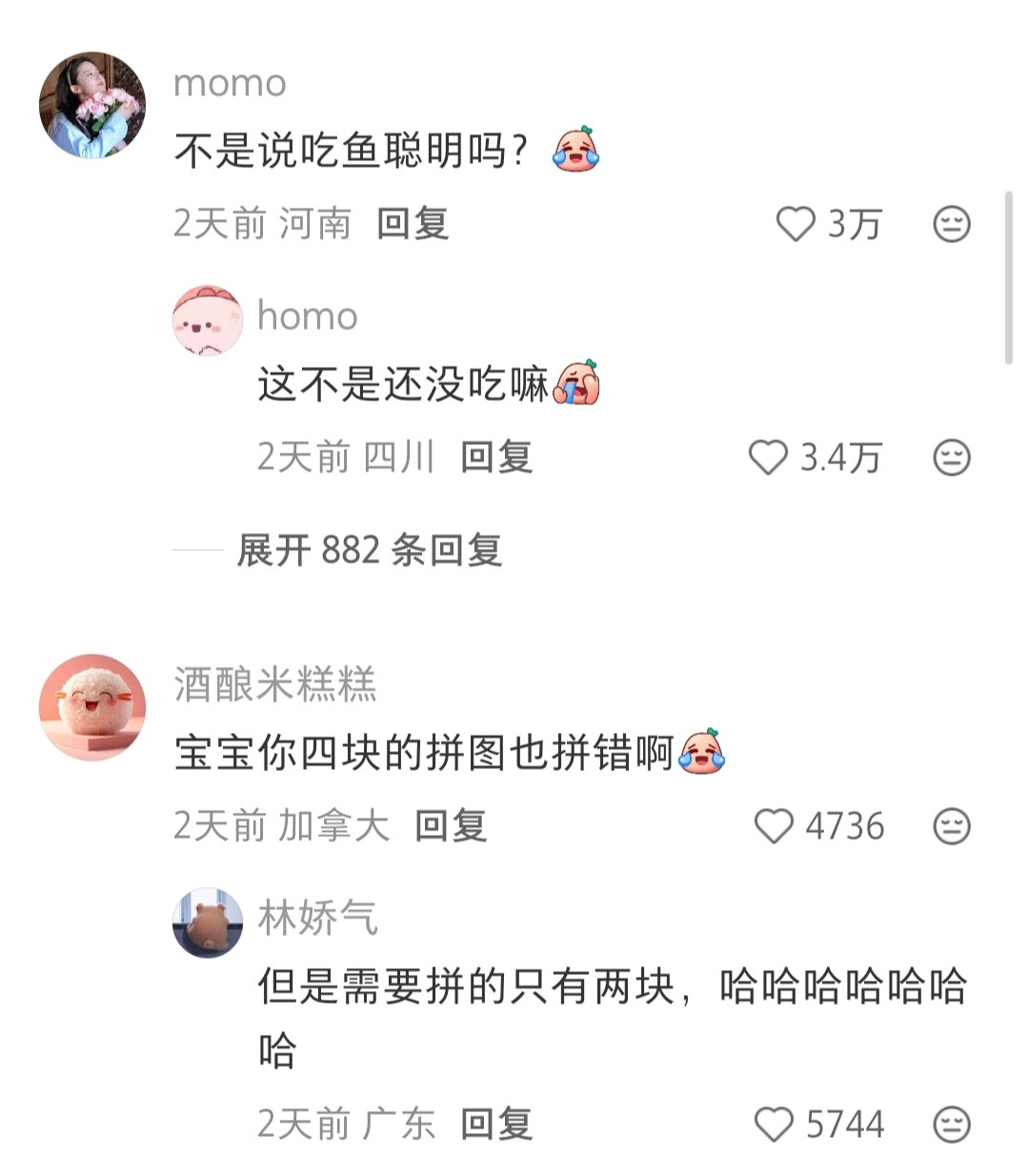 不是说吃鱼聪明吗?