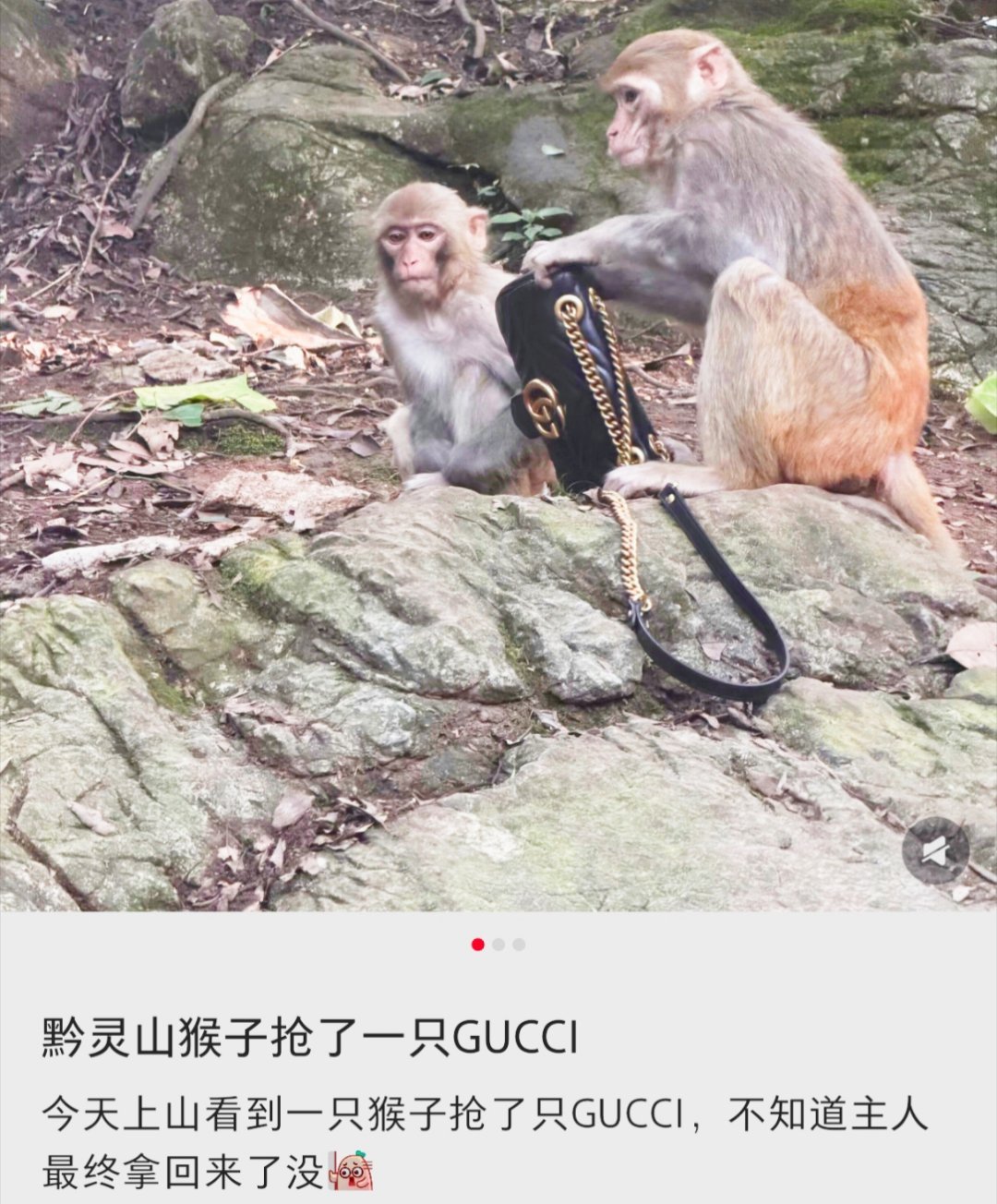 这就是一个组合概念的最高境界吗