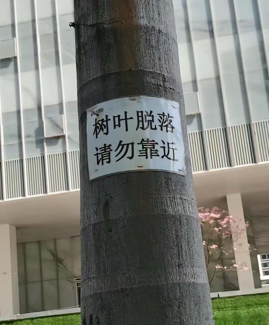 一片树叶能闯多大的货，广东也太娇情了