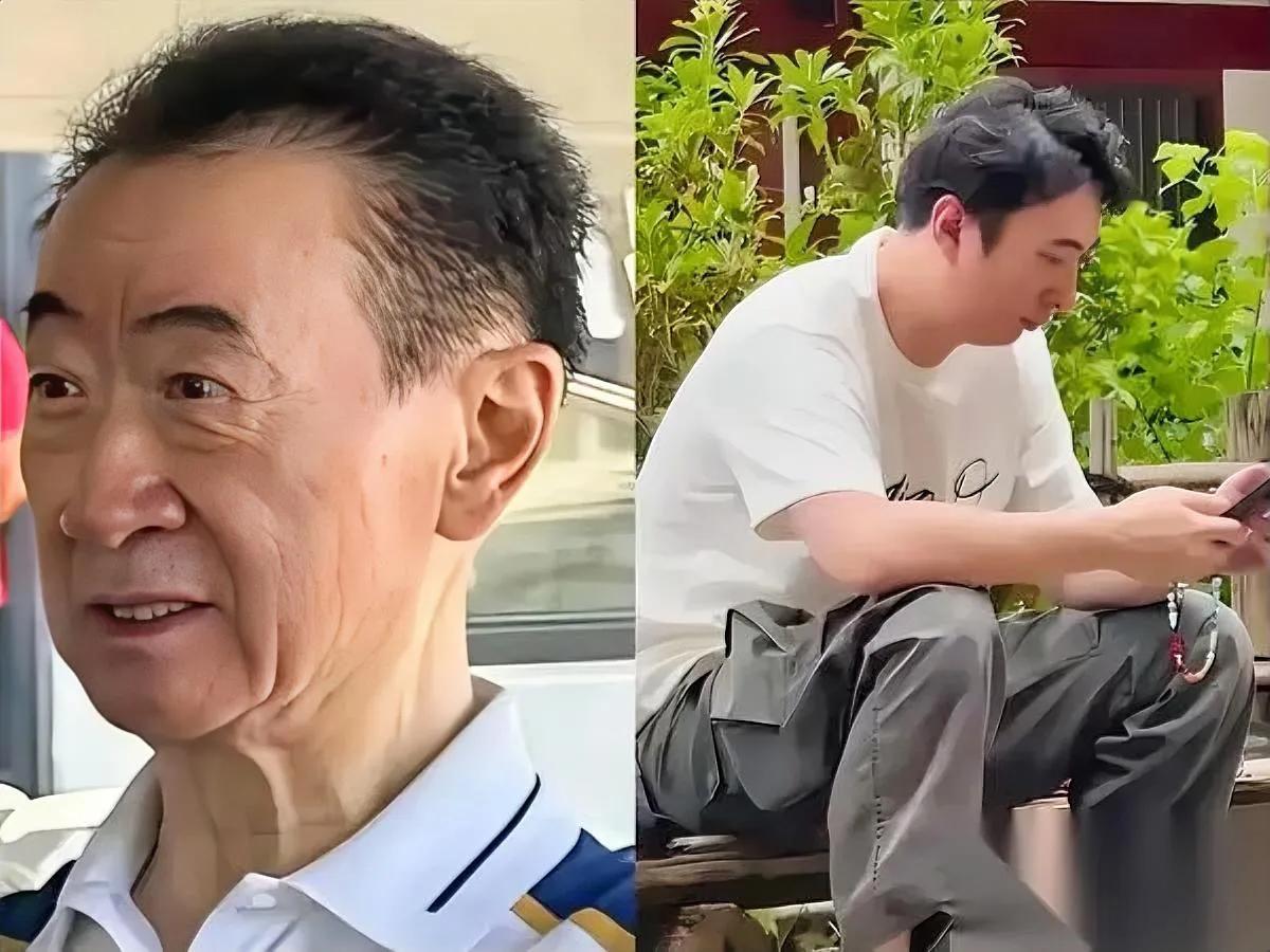 王健林父子咋了？王思聪微博停更三年！曾经的万达风光无限，2017年却开始