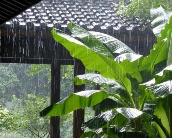 《七律-夏至闲吟》凉爽难逢夏至天，赏荷消暑两悠然。浅斟未