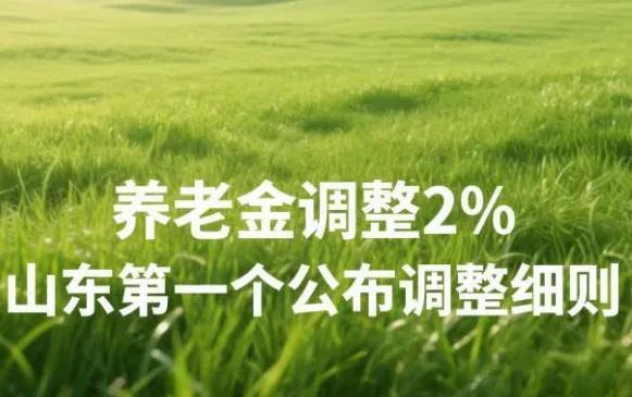 特大好消息，在国家公布养老金调整半个月后的今天，各省开始踊跃公布养老金调整细则。