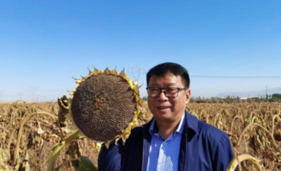 说起2009年我国工程界的“大乌龙”，至今仍被很多人津津乐道。重庆大学的易志