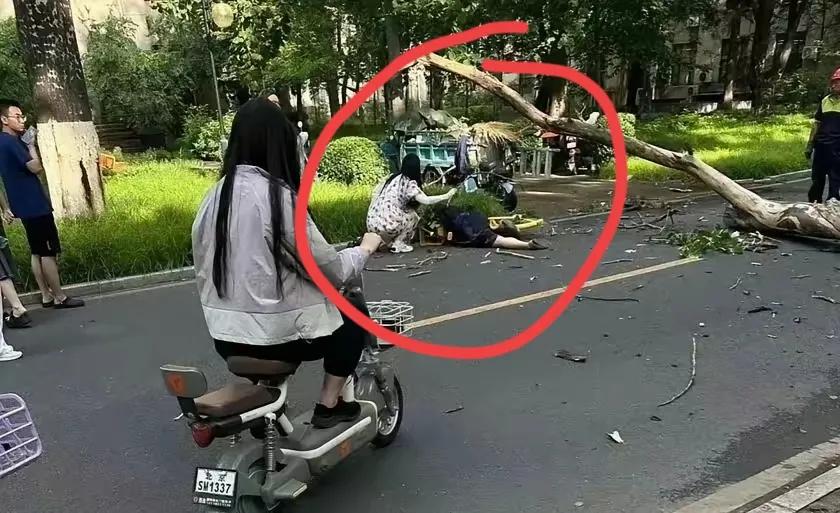 这事简直匪夷所思。清华校园枯树移植作业，在树木倒下的一瞬间，正好砸中了一个骑自
