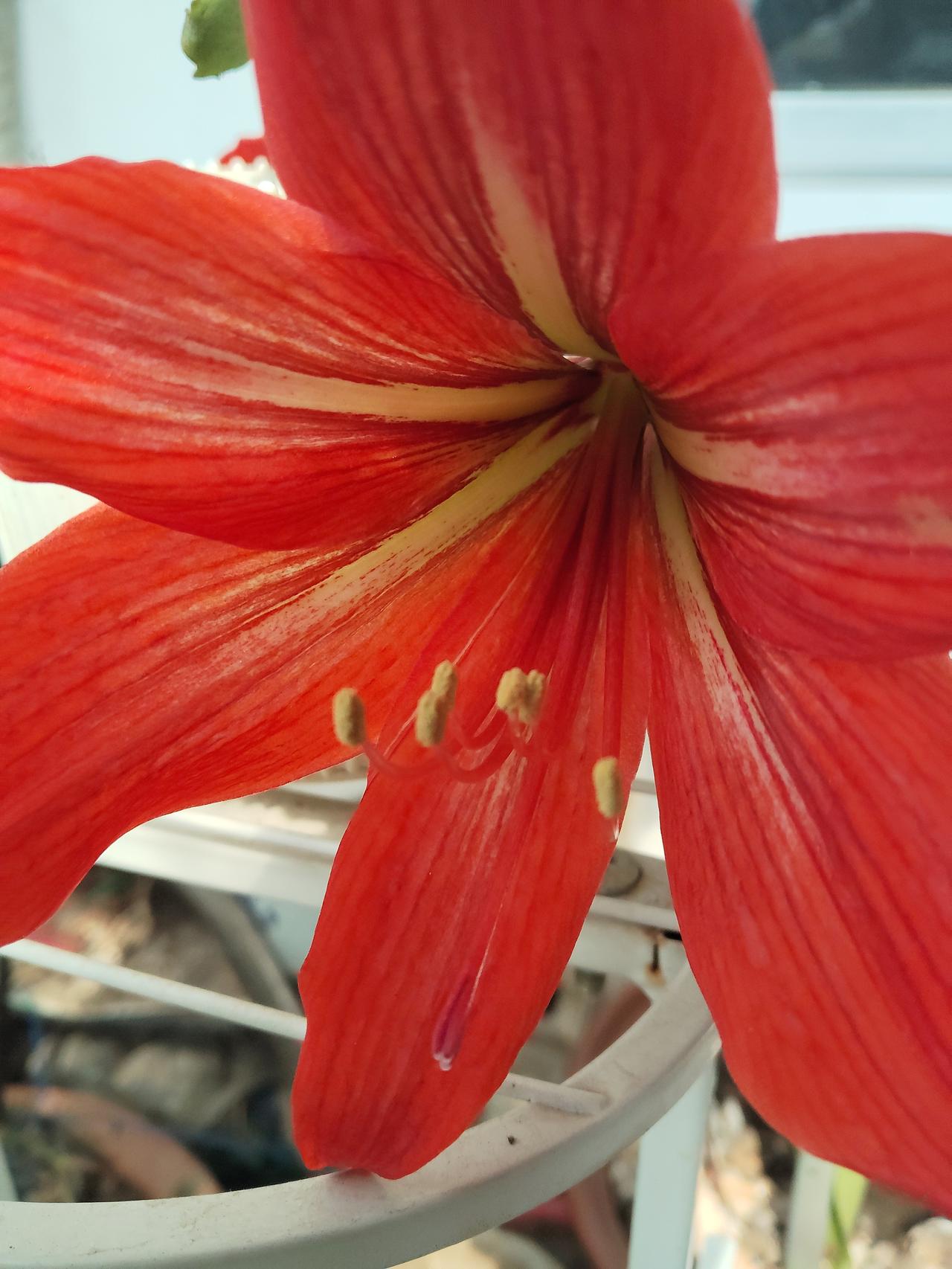 特别容易长寿的人1、睡眠质量好，晚上头一挨枕头就呼呼大睡的人。2、容易知足的