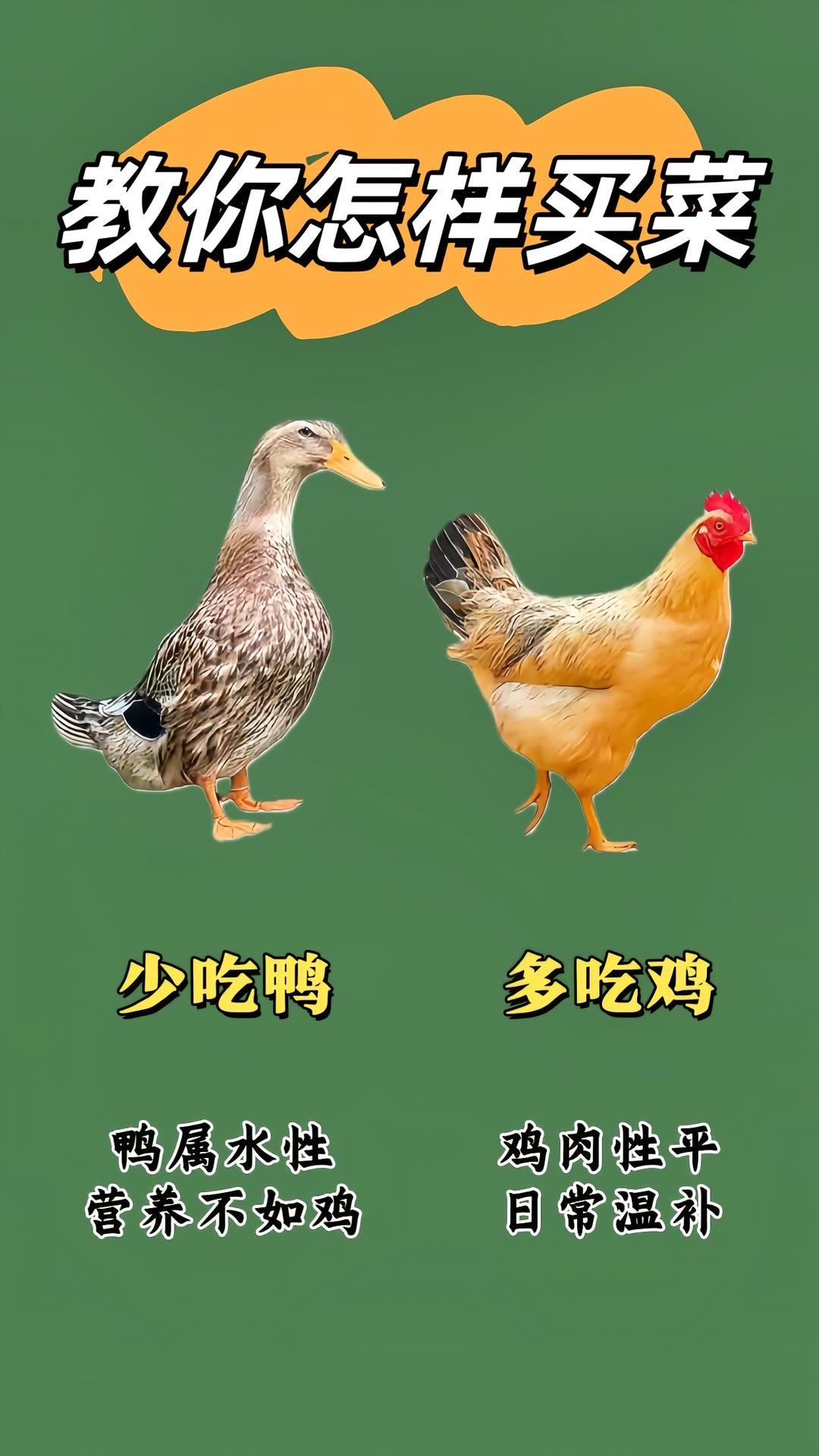 买菜小技巧生活小常识买菜挑选蔬菜买菜技巧买菜挑选小技巧买菜技巧指南