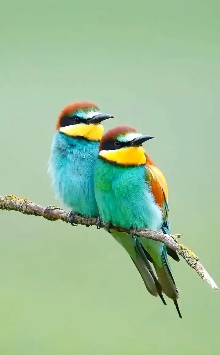 “你媳妇对孙子好，那是她良心过不去，在赎罪呢！”亲戚来串门，我婆婆当着孩子的面