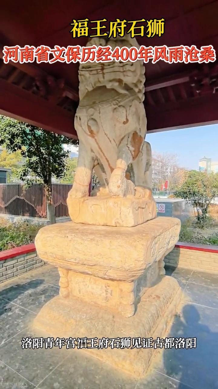 福王府石狮。河南省文保历经400年风雨沧桑，洛阳青年宫福王府石狮见证古都洛阳。