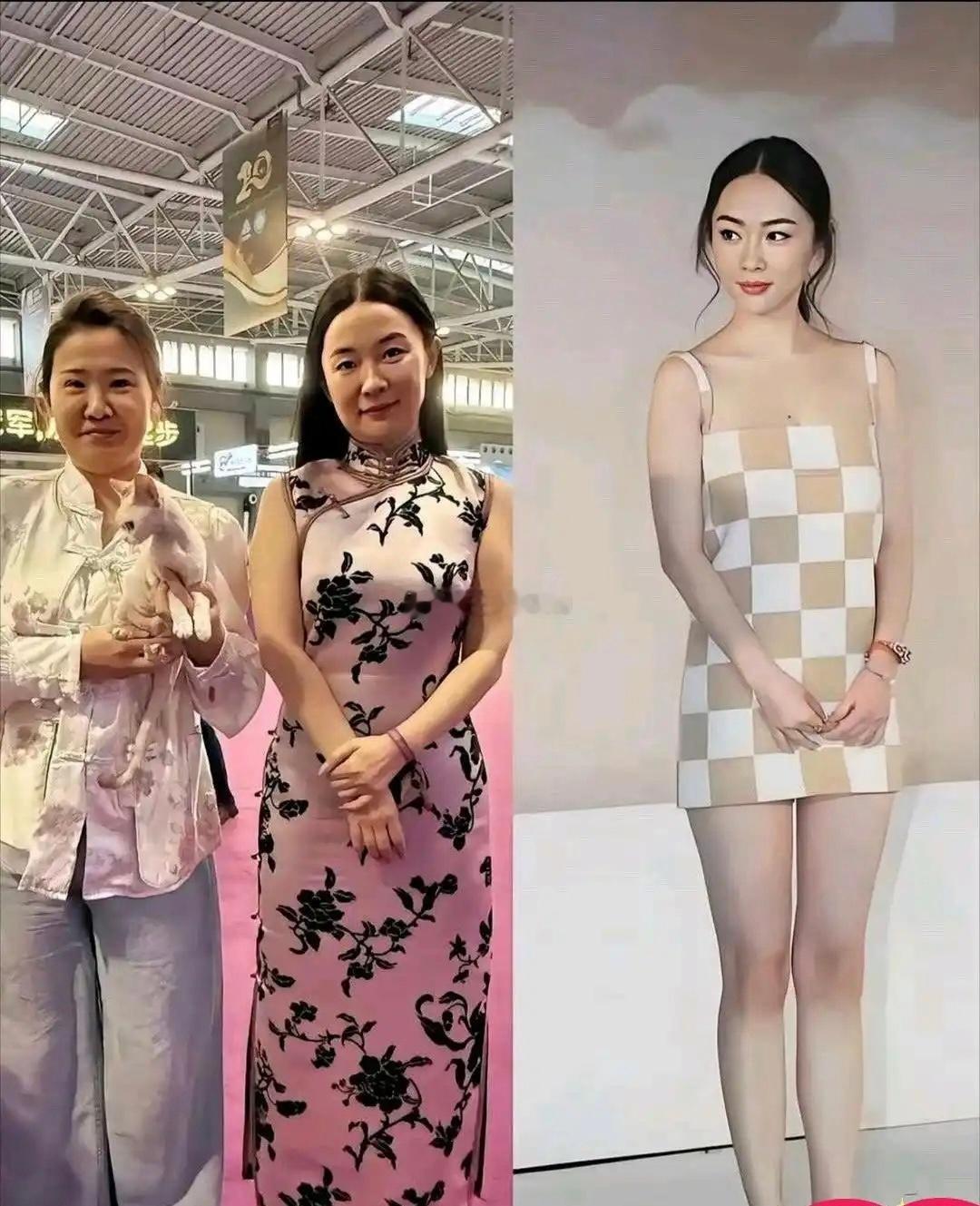 怪不得霍思燕不拍戏，去养狗了