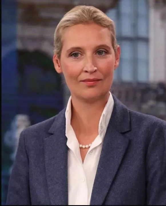 不敢相信，德国联邦议院的辩论简直炸锅了！选择党主席魏德尔直接对总理默茨大骂：“