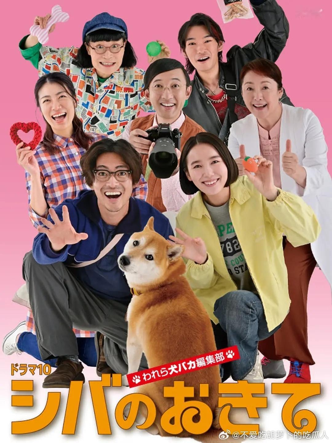 今日新剧上线日剧柴犬的规矩～我们这群狗痴俱乐部～今日上线，共9集，大东骏介