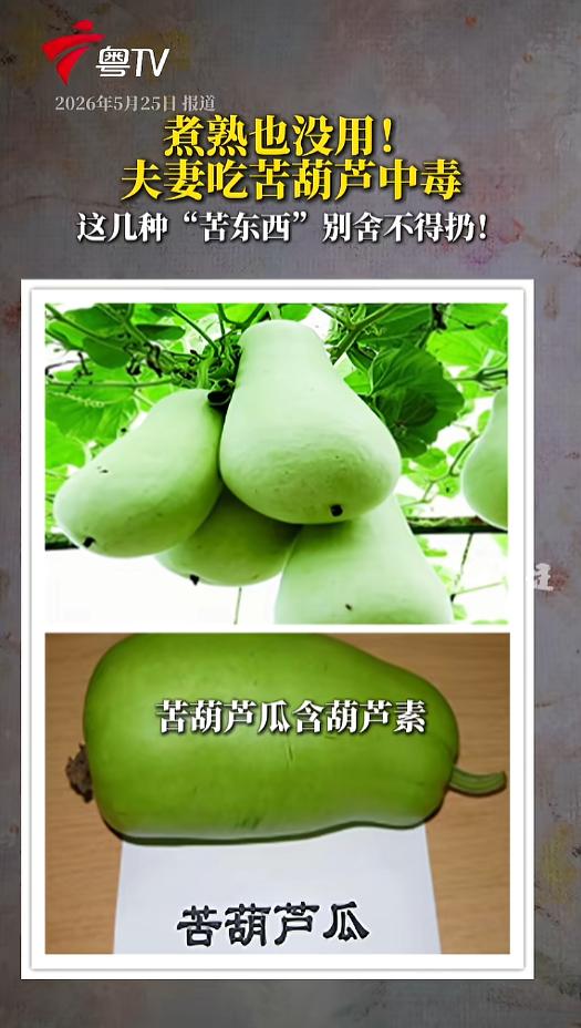 “吃之前一定要注意！”5月25日报道，浙江，一对老夫妇炒了个葫芦瓜，吃的时候觉得