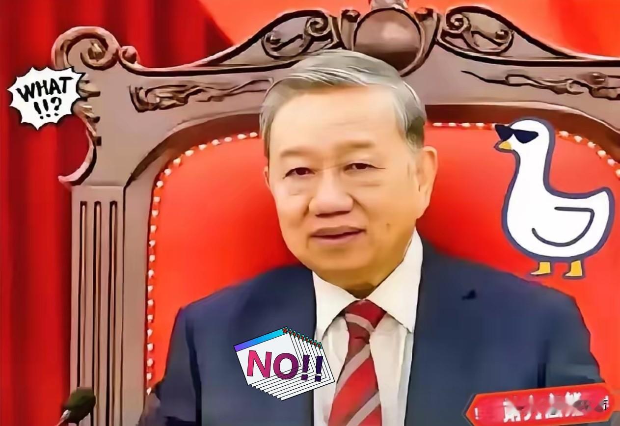 越南正在自食其果！​日本驻越南大使一句话直接浇灭越南的能源梦。日本驻越南大