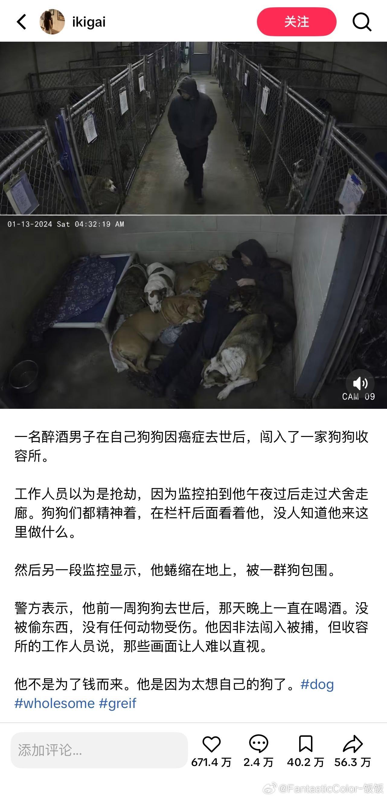 他只是想他的狗狗了而已