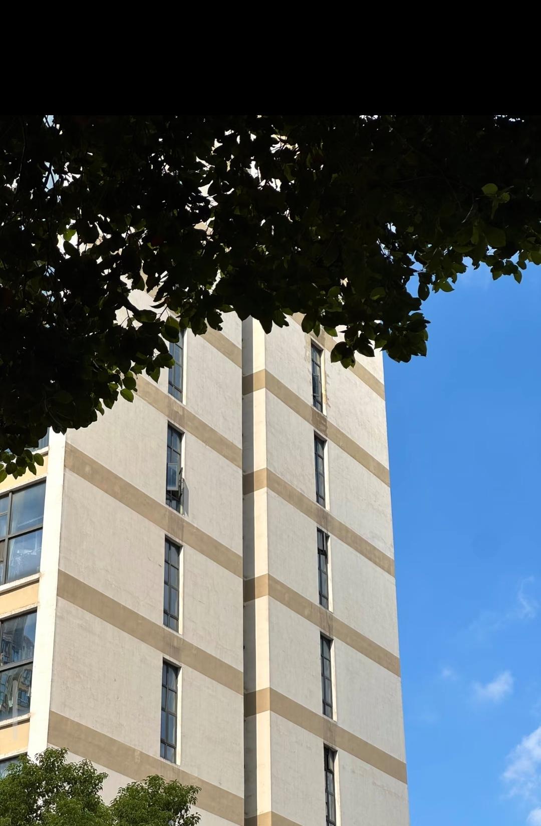 1.睡眠很重要。2.不过度自省。3.相信直觉，相信语言的能量。4.上班就是
