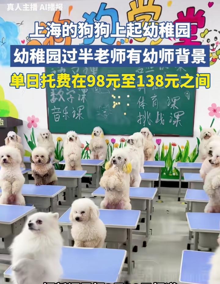 刚刚看到一个视频，说上海的狗狗都上幼稚园了！去年看到一个