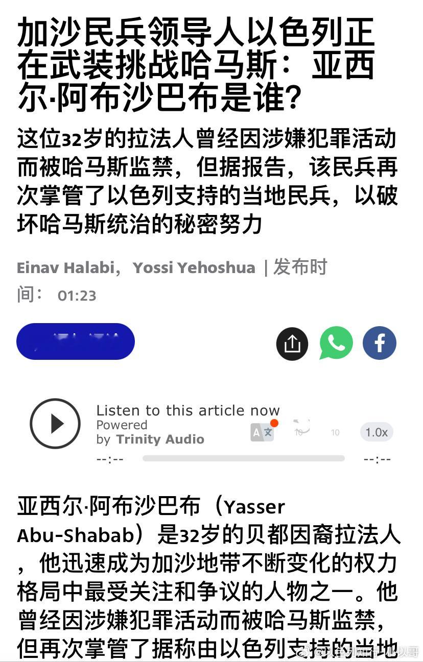 ‼️分而治之？以色列正在支持和武装加沙的一些民兵组织，让他们对抗和取代哈马斯。其