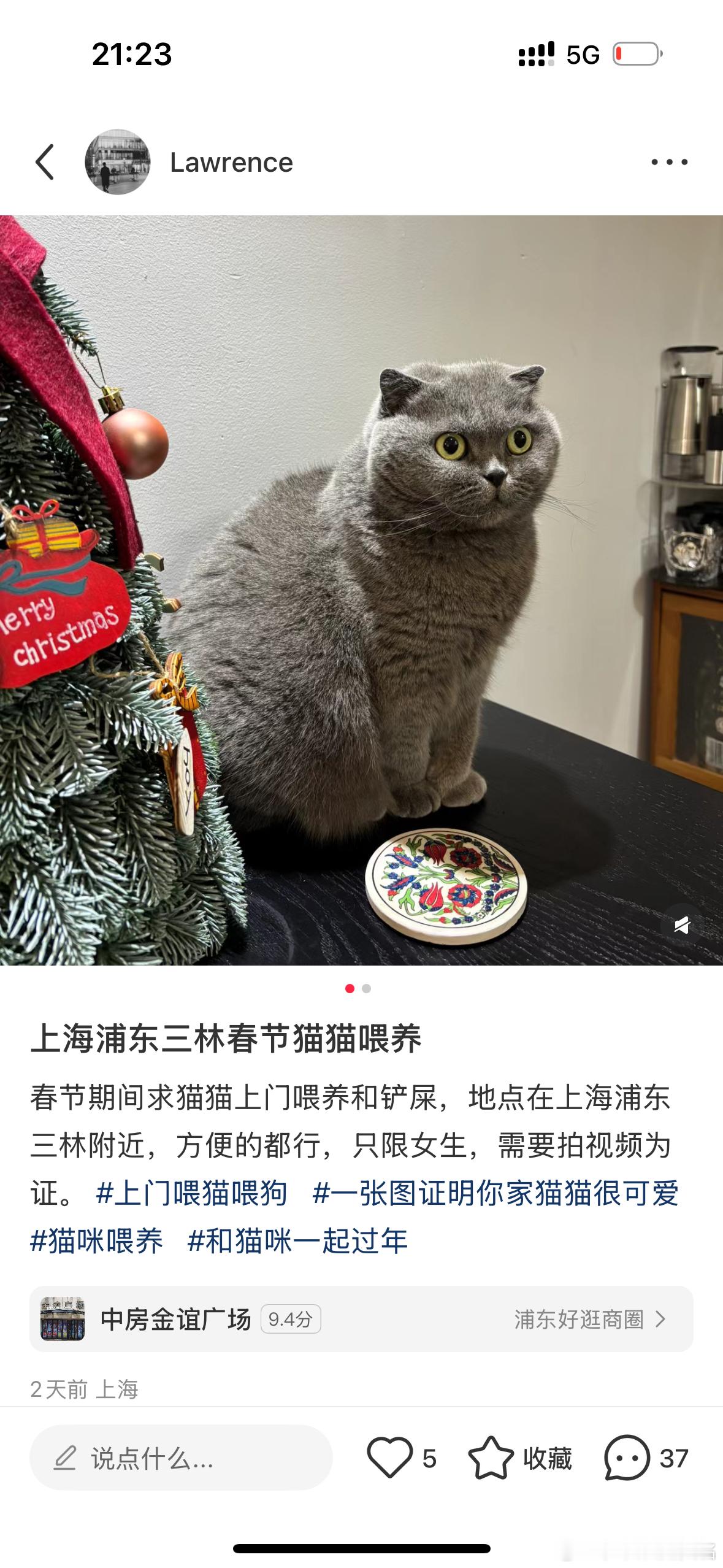 在小红书发了一个上门喂猫贴，本来没抱希望能找到，姐妹们的热情令人暖心！现在开始进