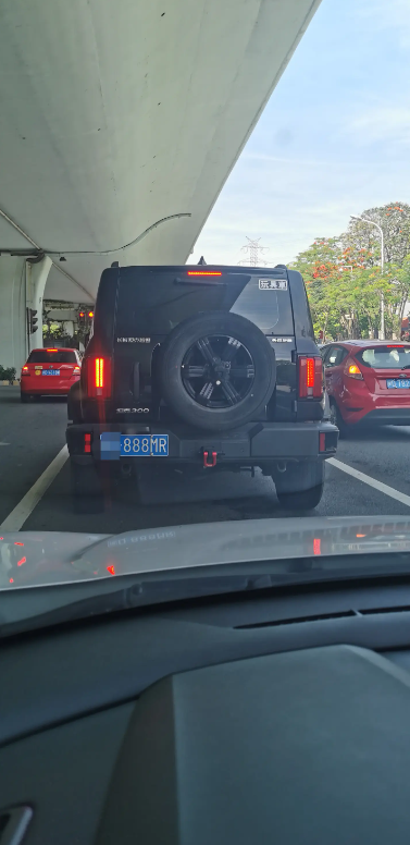 这么贵的玩具车，没多少人玩的起吧
