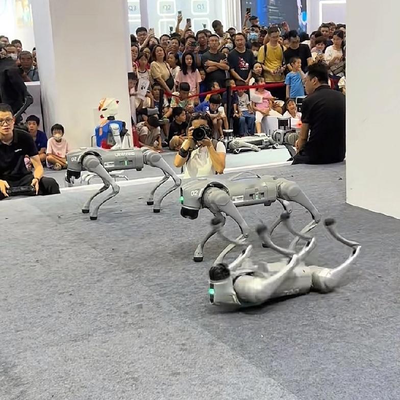 食品百货公司碰瓷宇树被最高法谴责宇树科技被诉专利侵权案二审宣判露韦美这样的食品公