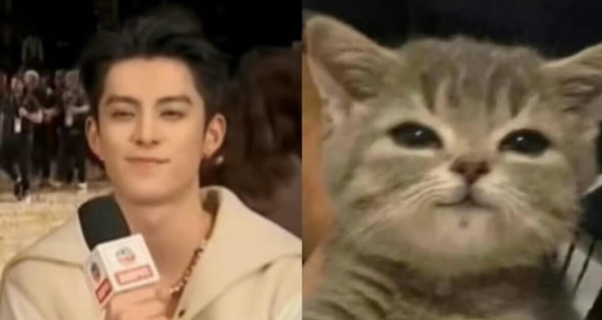 这和一只漂亮小猫咪有什么分别🥺王鹤棣