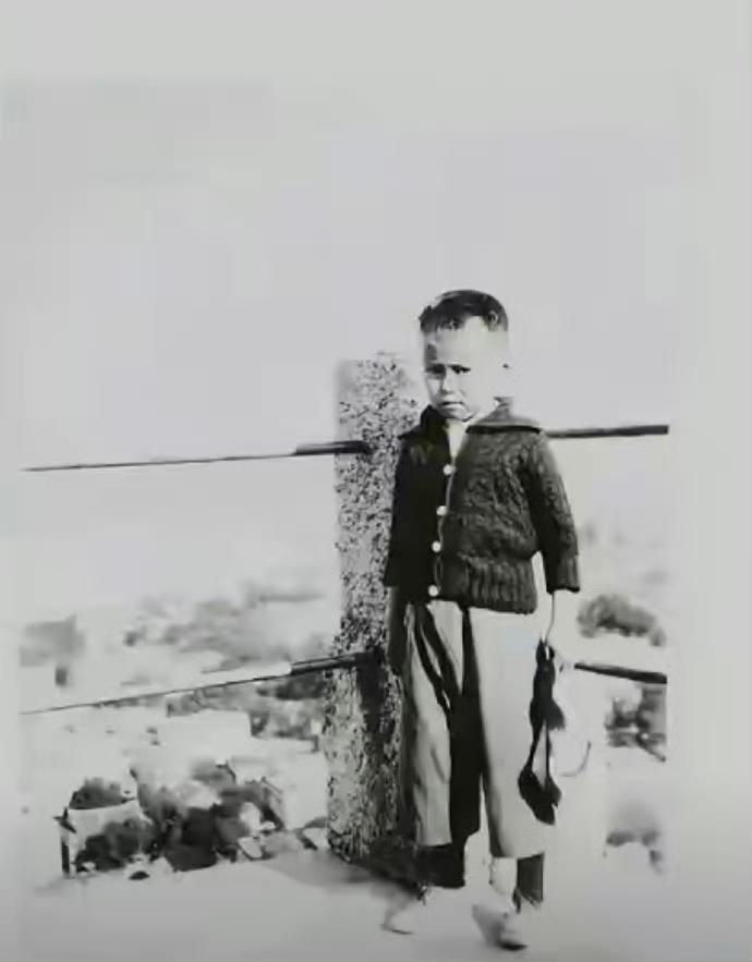 能托举孩子的父亲，从不逼孩子优秀1930年，留美归来的数学家杨武之，把6岁