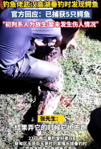 “无知真可怕！”8月23日，湖北武汉，2名钓鱼佬在河边钓鱼时，意外发现水中有1米
